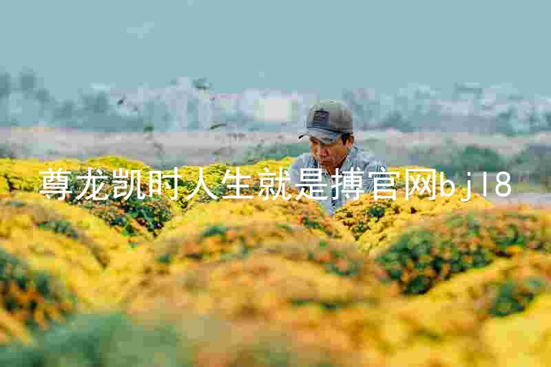 尊龙凯时人生就是搏官网bjl8