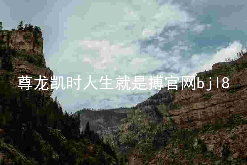 尊龙凯时人生就是搏官网bjl8