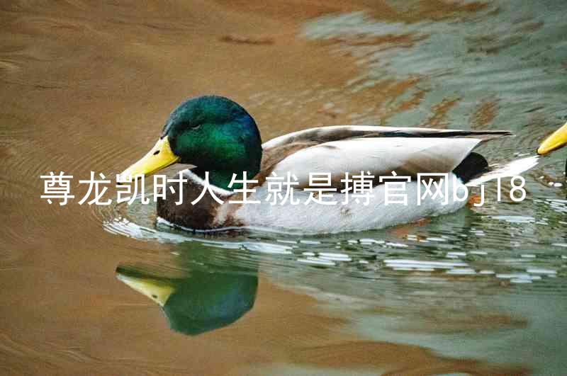 尊龙凯时人生就是搏官网bjl8