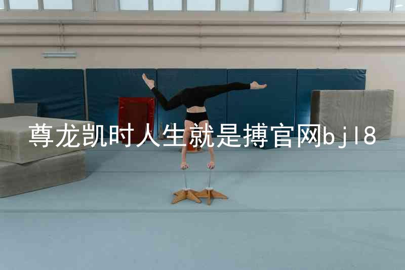 尊龙凯时人生就是搏官网bjl8