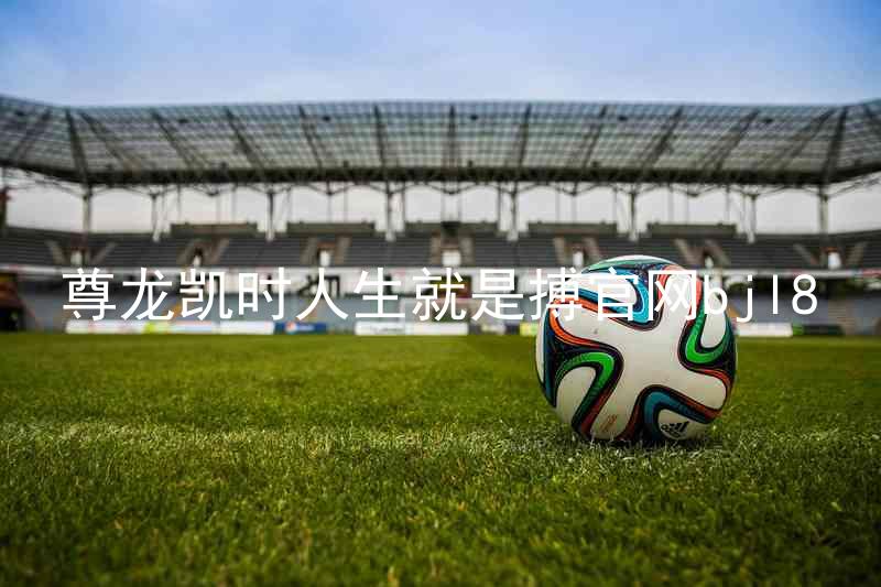 尊龙凯时人生就是搏官网bjl8
