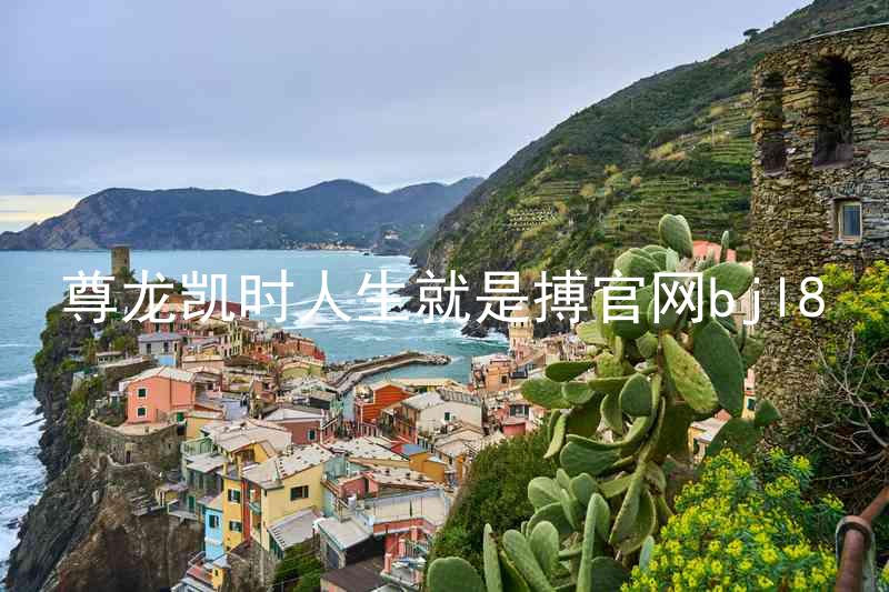 尊龙凯时人生就是搏官网bjl8