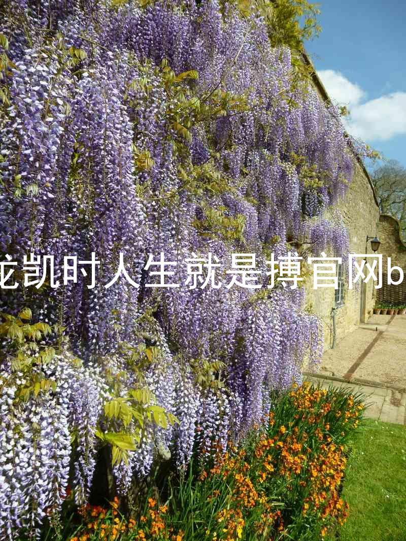 尊龙凯时人生就是搏官网bjl8