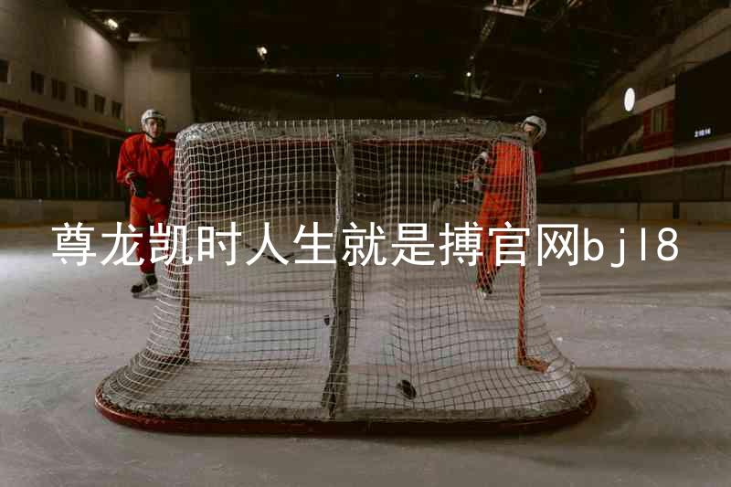 尊龙凯时人生就是搏官网bjl8