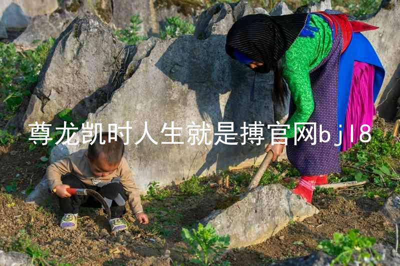 尊龙凯时人生就是搏官网bjl8